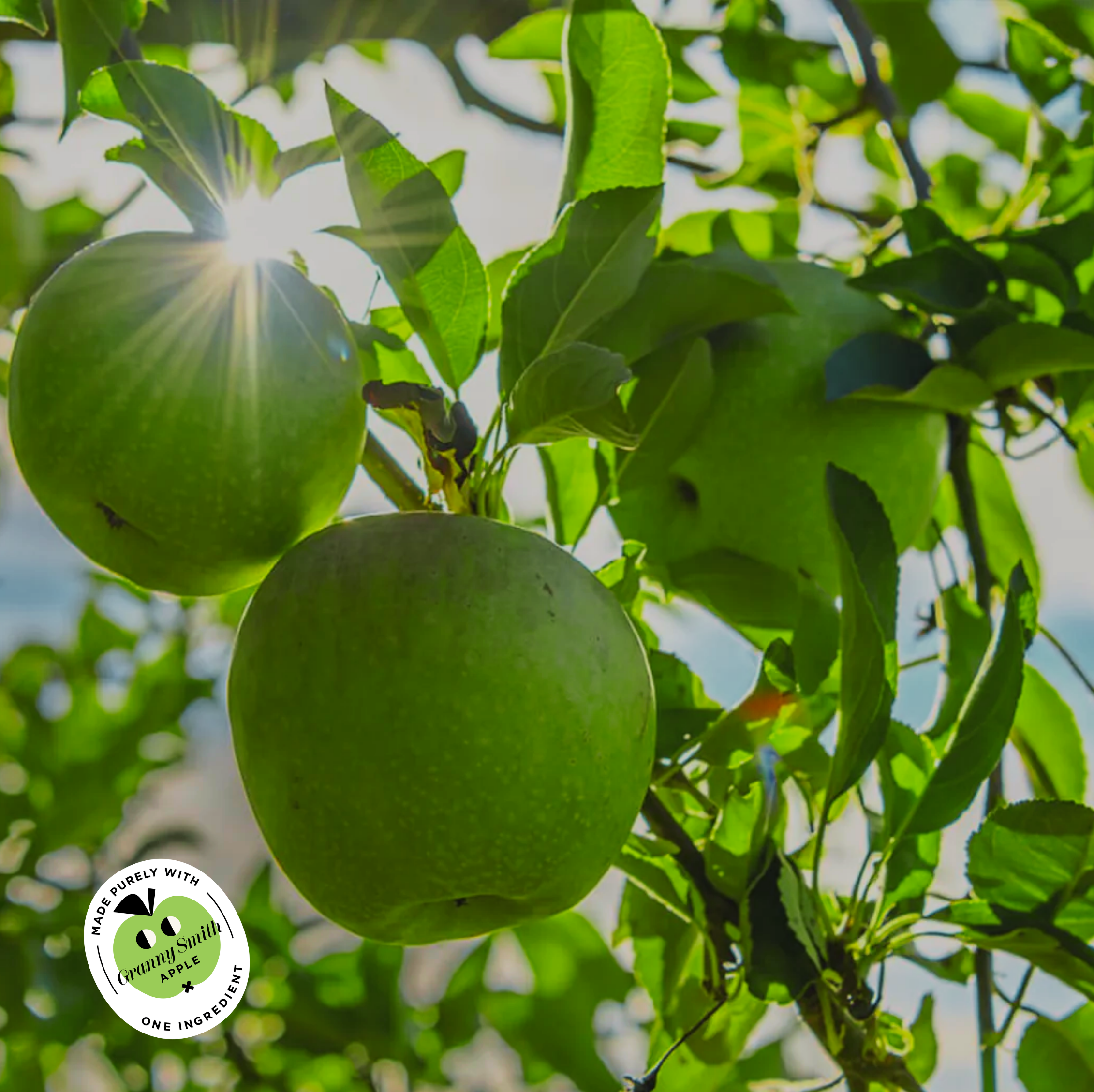 Granny Smith Apple Cider