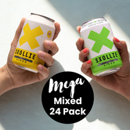 Mega Mixed Discovery 24 Pack