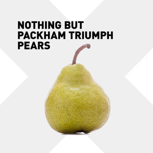Packham's Triumph Pear Modern Perry 330ml - Sxollie